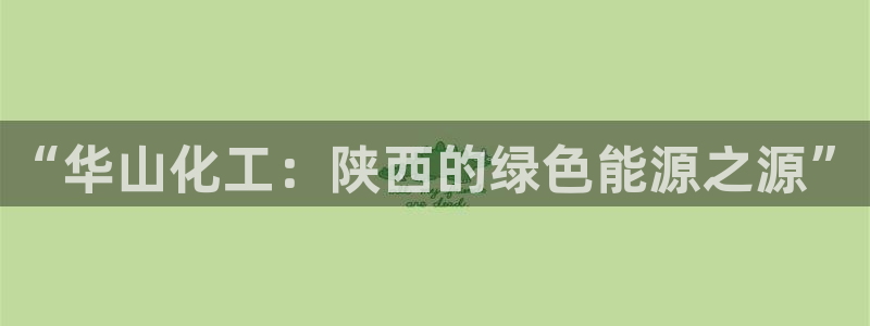 球盟会论坛：“华山化工：陕西的绿色能源之源”