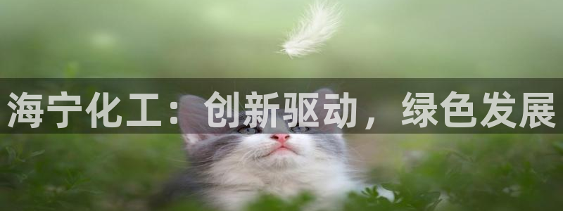 球盟会优惠领取网站