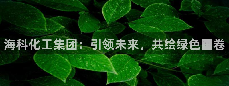 球盟会可以提现么是真的吗：海科化工集团：引领未来，共绘绿色画