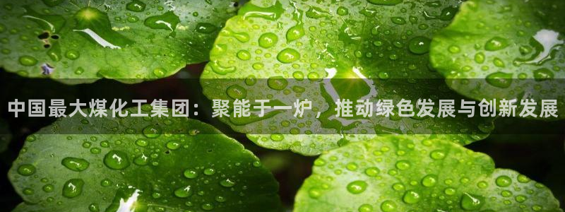 球盟会最新活动
