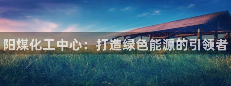 球盟会进不去吗