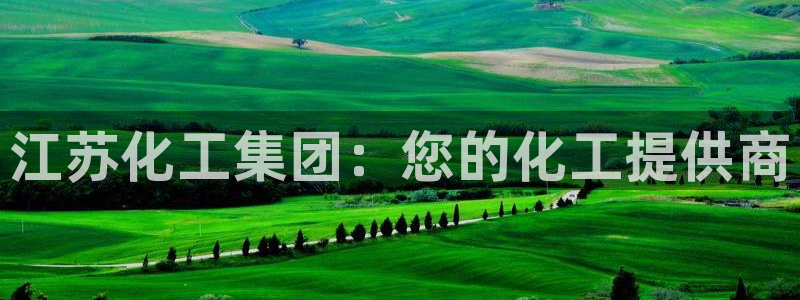 球盟会可以提现么