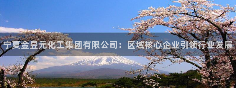 球盟会官方网站app