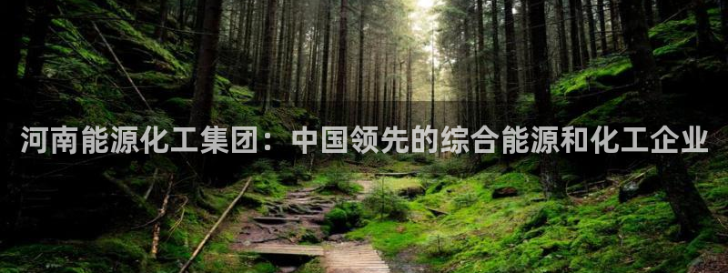 球盟会黑款吗知乎文章：河南能源化工集团：