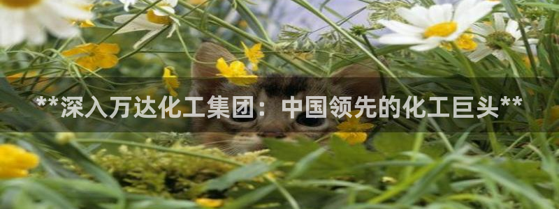 球盟会能退钱吗现在：**深入万达化工集团