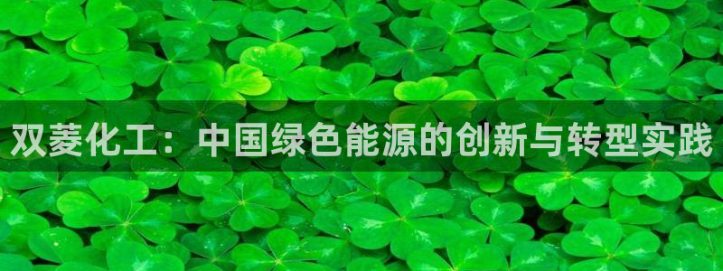 球盟会综合体育平台怎么样：双菱化工：中国