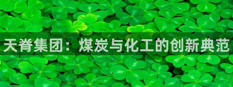 球盟会官方网站入口