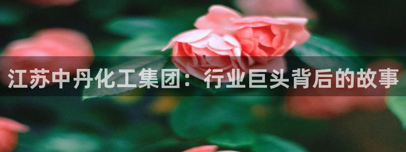 球盟会网址多少