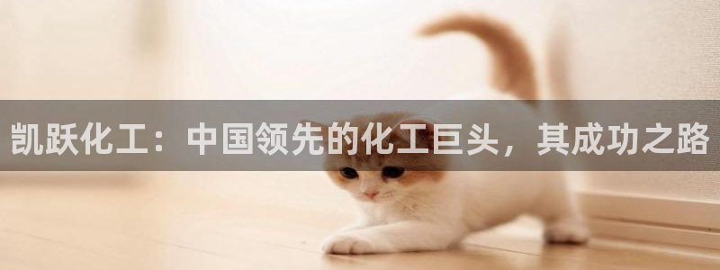 球盟会平台怎么样