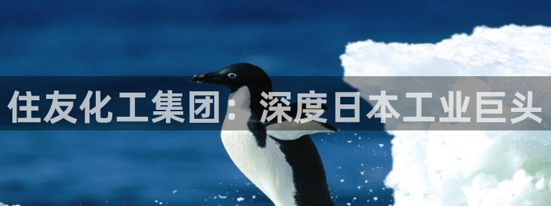 球盟会登陆