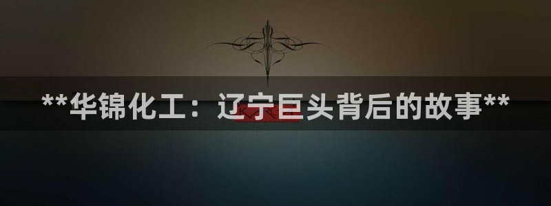 球盟会和中欧合作吗