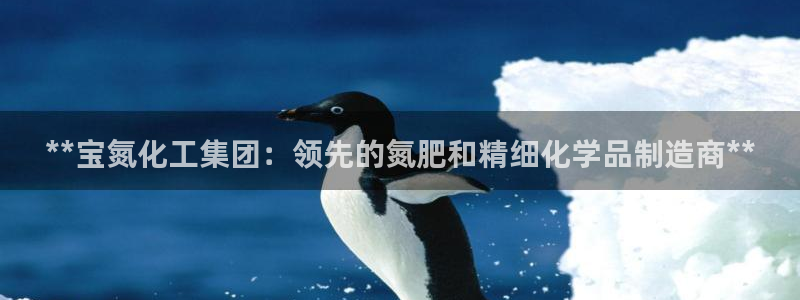 球盟会黑款吗知乎文章：**宝氮化工集团：领先的氮肥和精细化学