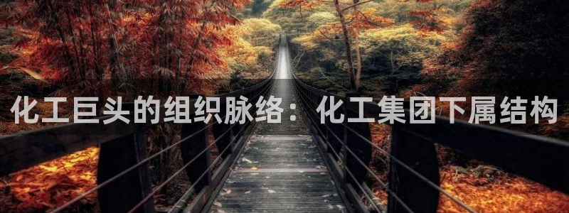 球盟会app最新地址在哪找