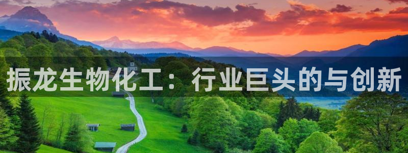 球盟会里面有打牌的嘛