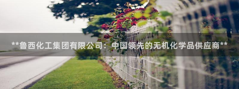球盟会电子游戏平台：**鲁西化工集团有限公司：中国领先的无机