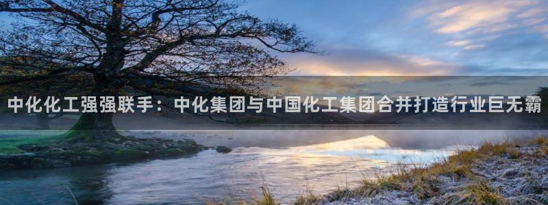 球盟会APP官网