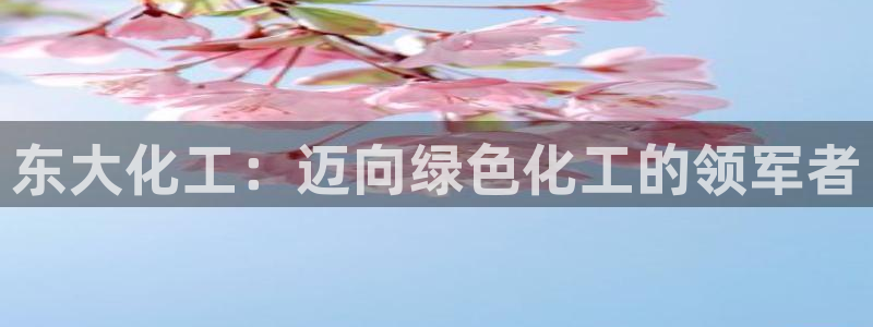 球盟会电子