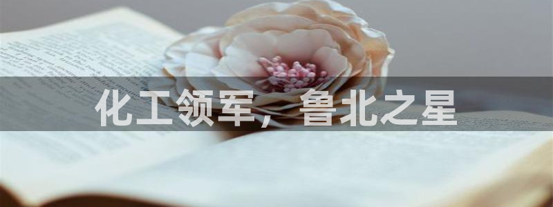 球盟会封号：化工领军，鲁北之星
