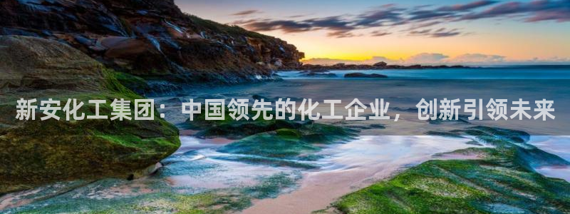 球盟会网页登录：新安化工集团：中国领先的化工企业，创新引领未