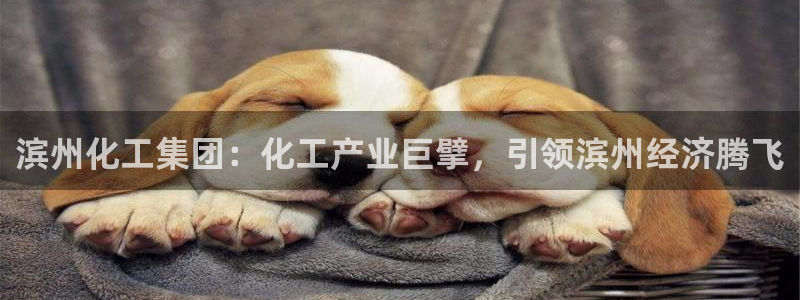 球盟会app