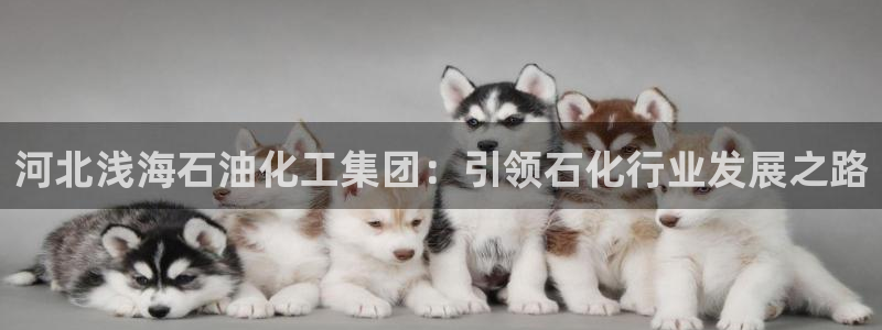 球盟会qmh电子网页版登录：河北浅海石油化工集团：引领石化行