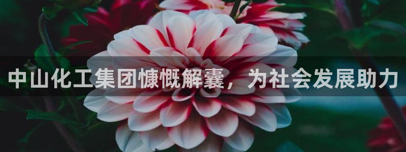 球盟会进不去球员吗