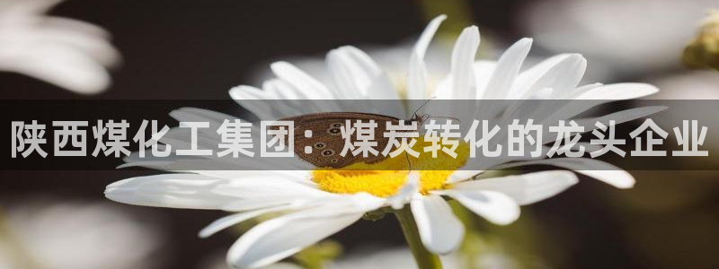 球盟会在线网站