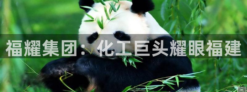 球盟会黑台子：福耀集团：化工巨头耀眼福建