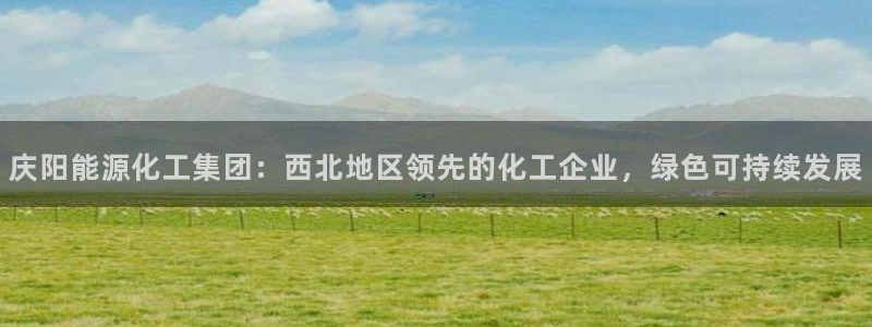 球盟会网页版登陆：庆阳能源化工集团：西北地区领先的化工企业，