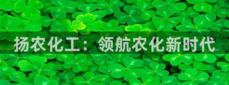 球盟会官方网址入口：扬农化工：领航农化新时代