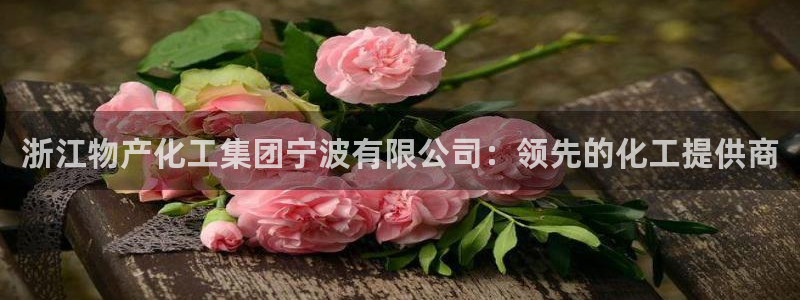 球盟会里面有打牌的嘛是真的吗：浙江物产化工集团宁波有限公司：