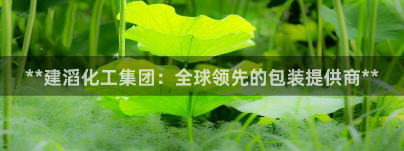 球盟会综合app下载：**建滔化工集团：全球领先的包装提供商