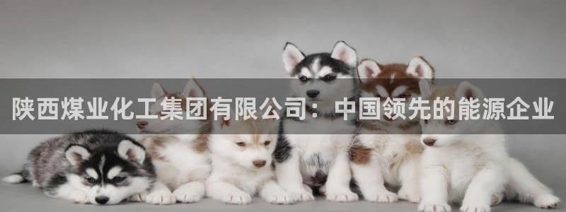 球盟会官网入口：陕西煤业化工集团有限公司：中国领先的能源企业