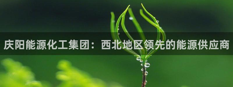 球盟会网页版：庆阳能源化工集团：西北地区领先的能源供应商