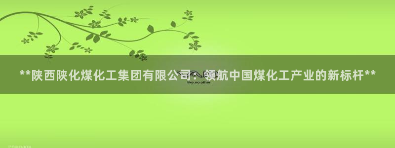 球盟会app安装：**陕西陕化煤化工集团有限公司：领航中国煤