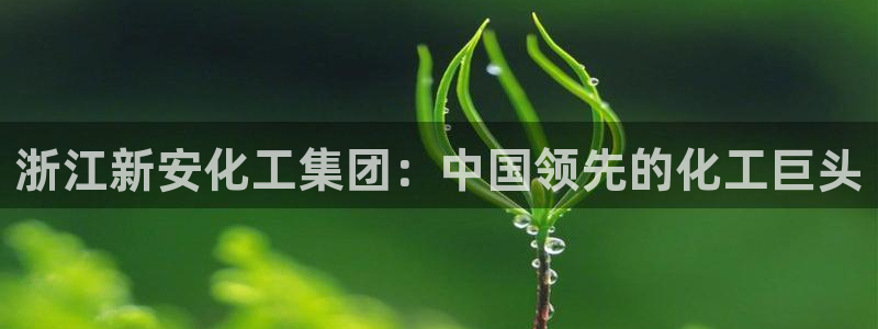 球盟会登录网址：浙江新安化工集团：中国领先的化工巨头