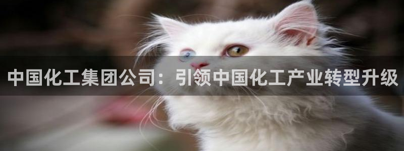 球盟会黑款吗知乎文章：中国化工集团公司：引领中国化工产业转型
