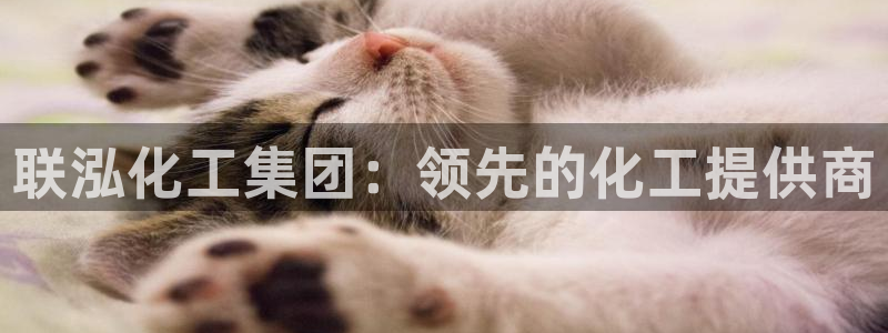 球盟会网页登录入口：联泓化工集团：领先的化工提供商