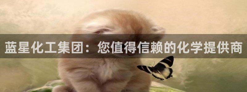 球盟会黑款吗：蓝星化工集团：您值得信赖的化学提供商