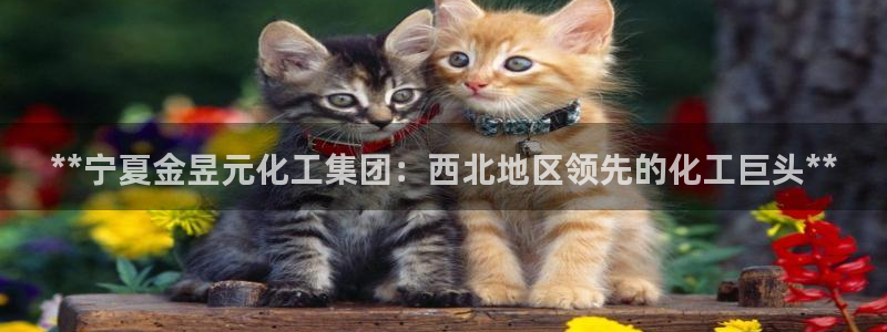 球盟会qmh网页版登录 - qm球盟会官方网站：**宁夏金昱