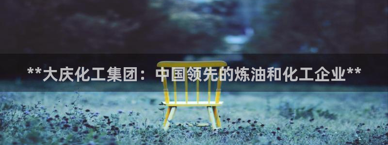 球盟会连接：**大庆化工集团：中国领先的炼油和化工企业**
