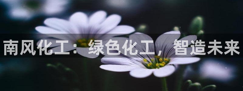 球盟会官方版下载地址：南风化工：绿色化工，智造未来