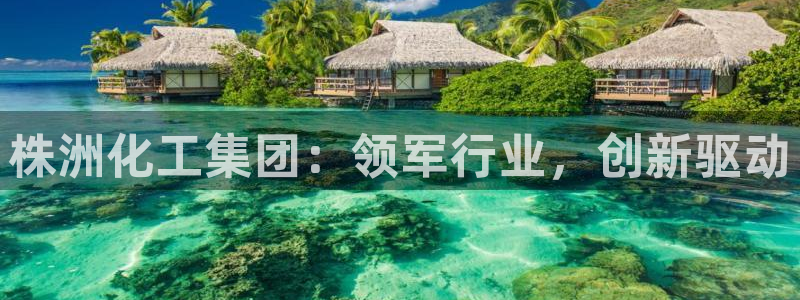球盟会黑嘛