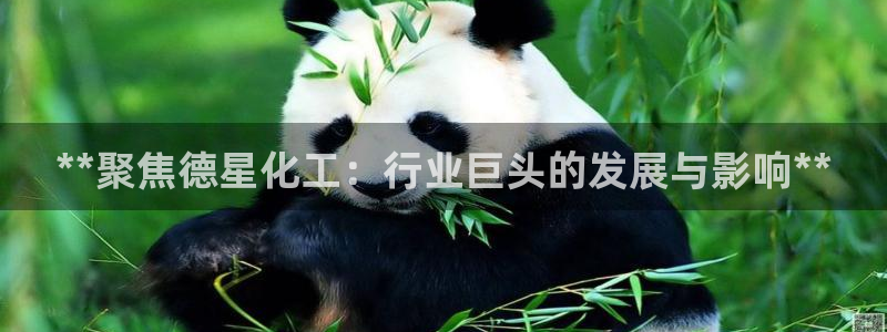 球盟会官方平台入口