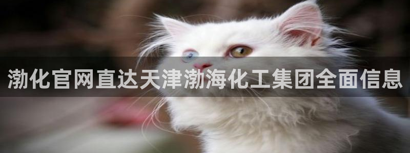 球盟会qmh官网