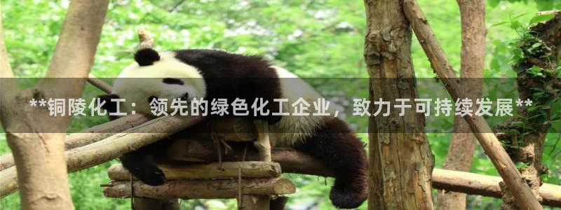 球盟会官网登录入口：**铜陵化工：领先的绿色化工企业，致力于