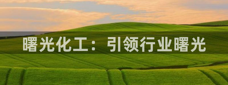 球盟会网页版：曙光化工：引领行业曙光
