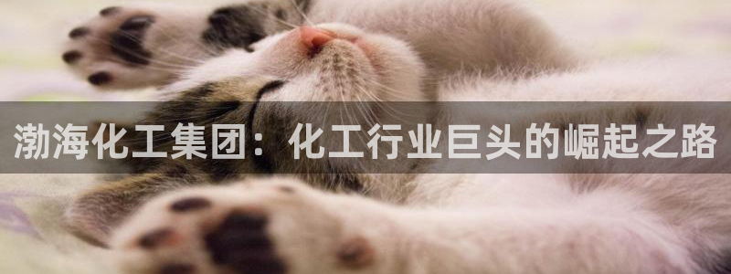 球盟会里面有打牌的嘛是真的吗