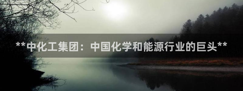 球盟会qmh网页版登录：**中化工集团：中国化学和能源行业的