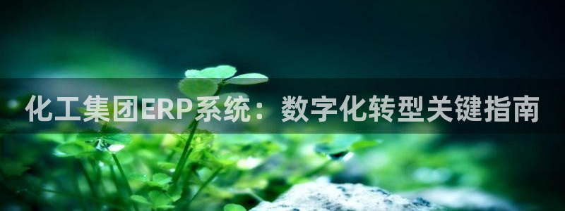 球盟会最新